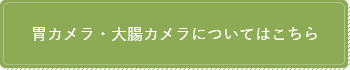 胃カメラ 大腸カメラについてはこちら